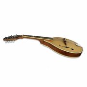 Axiom Beginner Mandolin