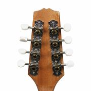 Axiom Beginner Mandolin