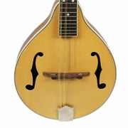 Axiom Beginner Mandolin