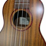 Moloka Electric Ukulele with Pickup