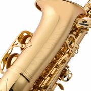Prelude Alto Saxophone Complete Beginner Outfit
