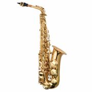 Prelude Alto Saxophone Complete Beginner Outfit