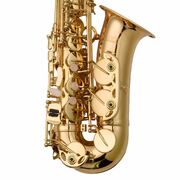 Prelude Alto Saxophone Complete Beginner Outfit