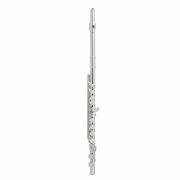 Prelude School Band Flute with Cleaning Kit