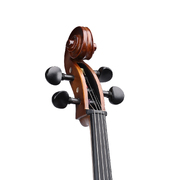 Concerto Cello 7/8 Size - 7/8 cello for Smaller Adults