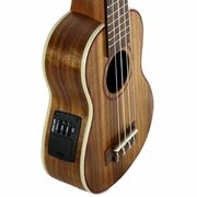 Alani Electric Concert Ukulele with Pickup