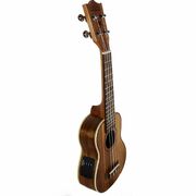 Alani Electric Concert Ukulele with Pickup