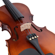 Prelude Violin Outfit - 3/4 Size